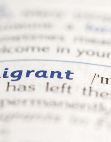 Document Translation