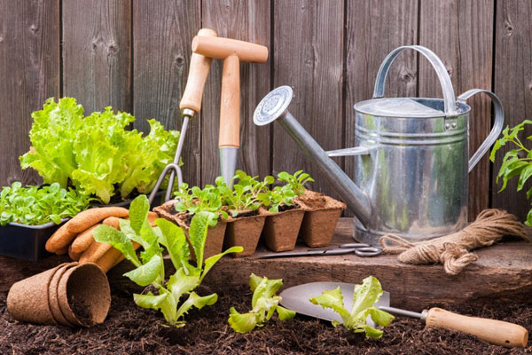 workshops-Gardening